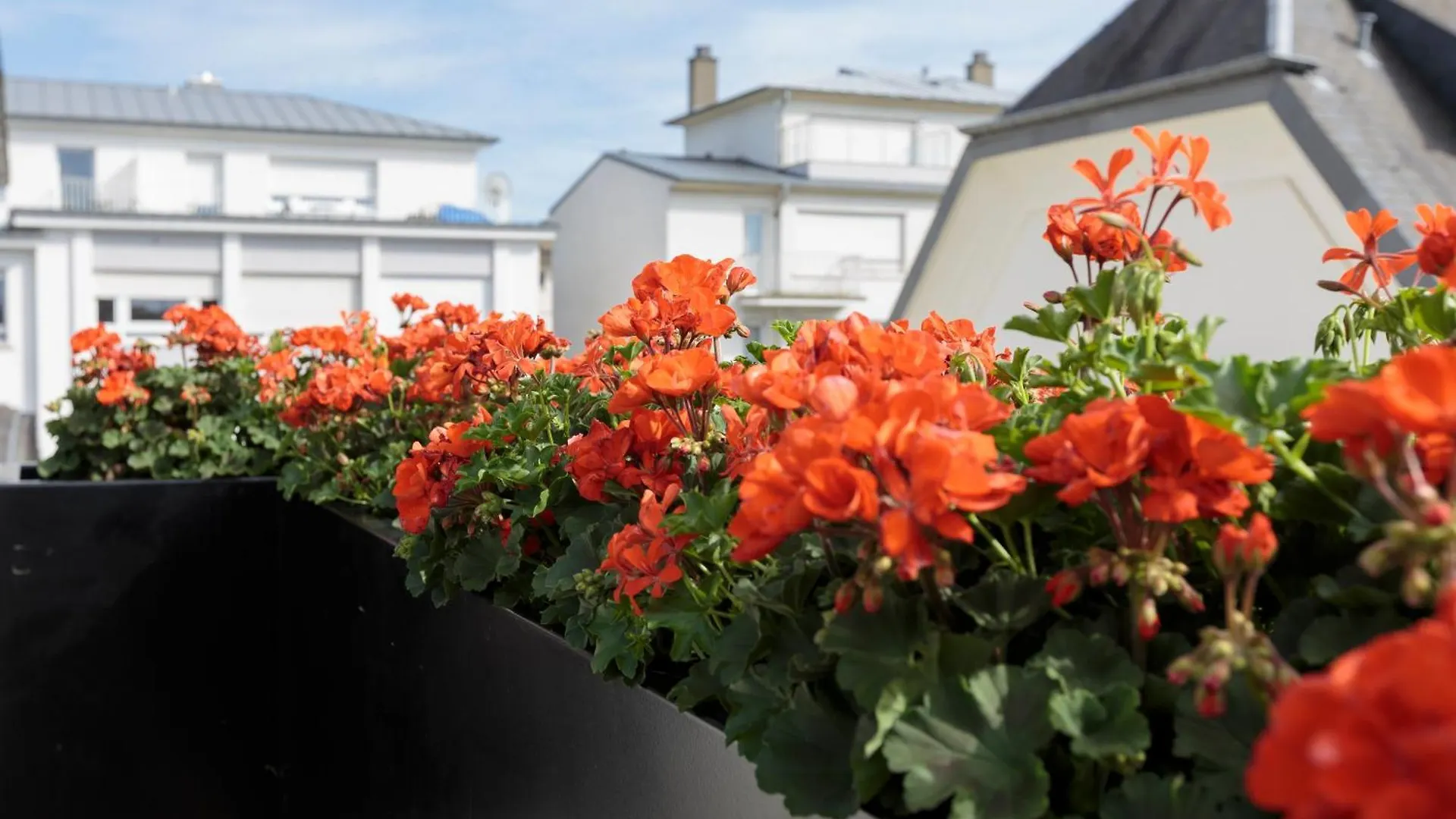 The Queen Luxury Apartments - Villa Vinicia Luxembourg 0*,  Luxembourg